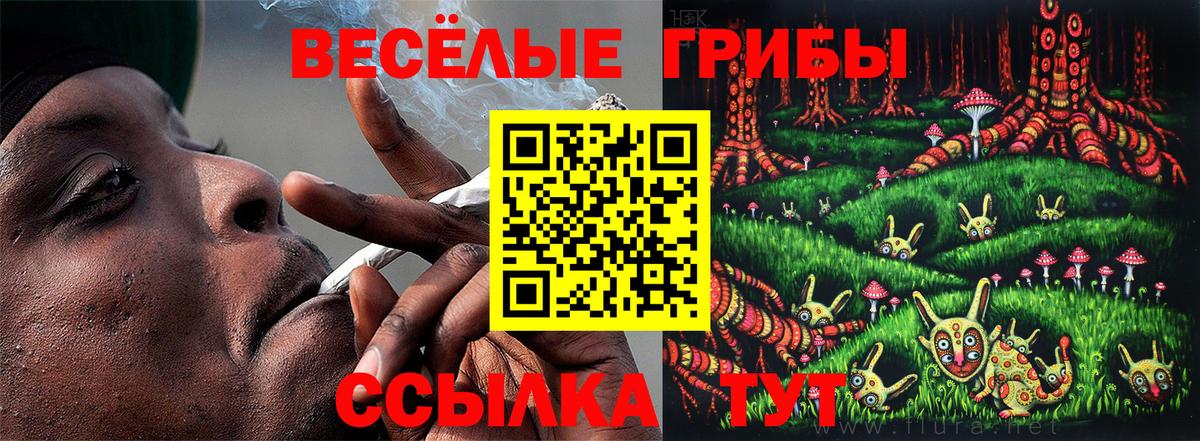 магазин  наркотиков  Вход с VPN  Новодвинск  Галлюциногенные грибы Magic Shrooms  Псилоцибиновые грибы Psilocybe 